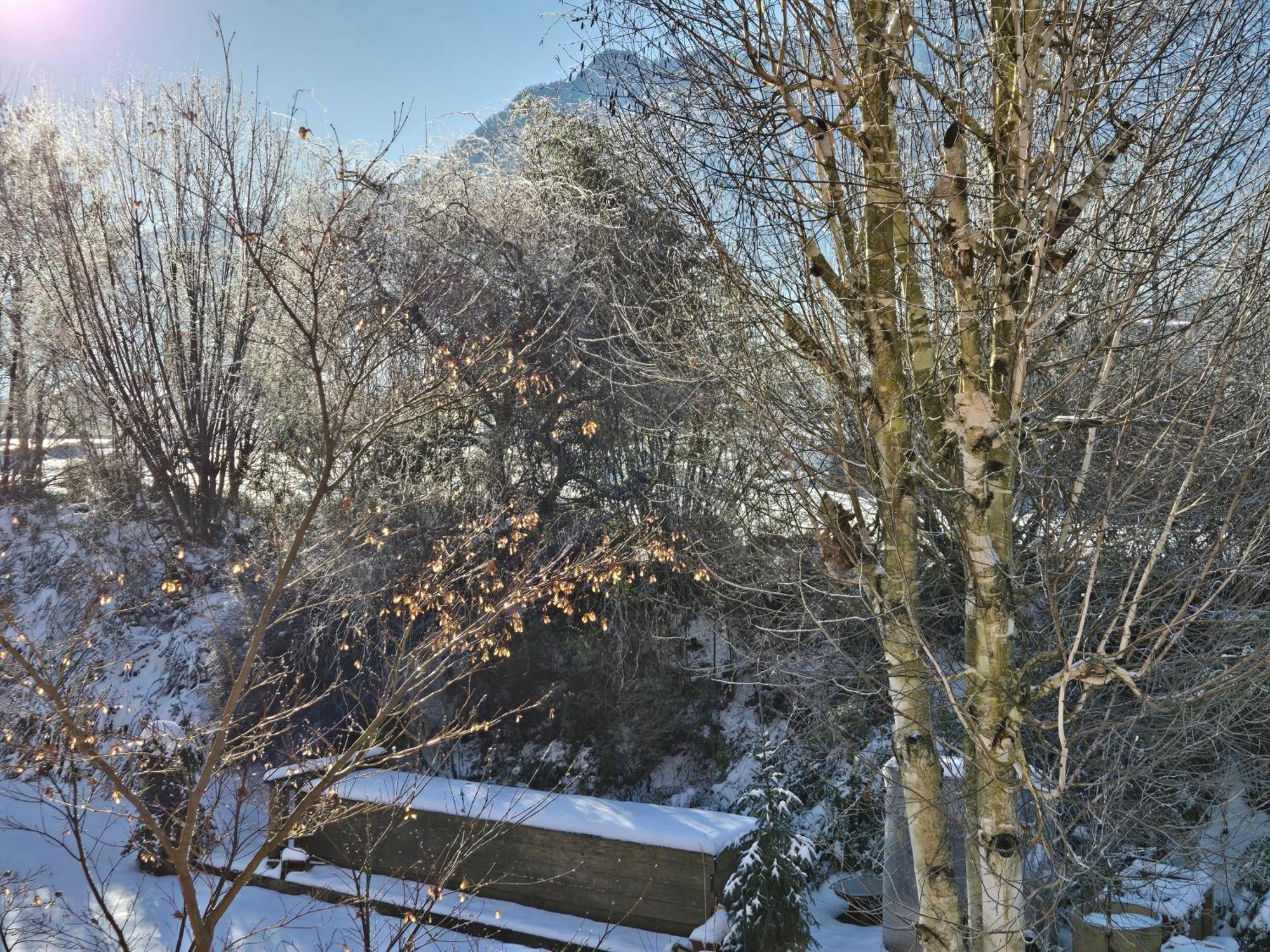 Alpenblumal Daire Bad Goisern Dış mekan fotoğraf